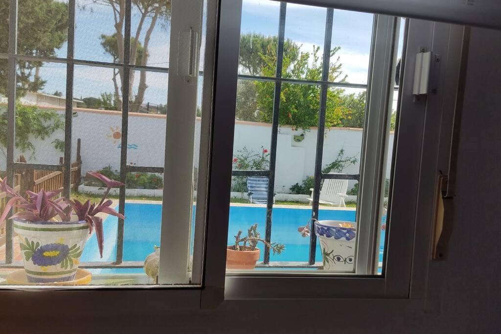 Casa Con Piscina Privada Y Jardin Βίλα Chiclana de la Frontera Εξωτερικό φωτογραφία