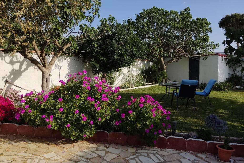 Casa Con Piscina Privada Y Jardin Βίλα Chiclana de la Frontera Εξωτερικό φωτογραφία