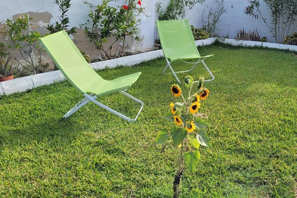 Casa Con Piscina Privada Y Jardin Βίλα Chiclana de la Frontera Εξωτερικό φωτογραφία